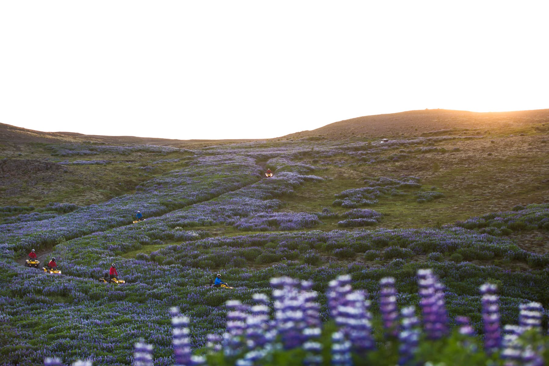 Image of Icelandic landscape