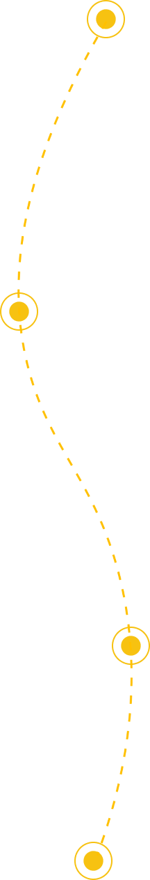 Decorative yellow line